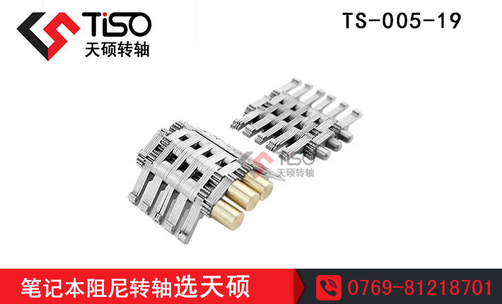 DS|pʽDS|TS-005-19|DSаl(f)